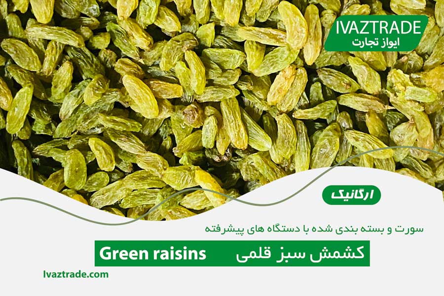 کشمش سبز قلمی کاشمر ایواز تجارت